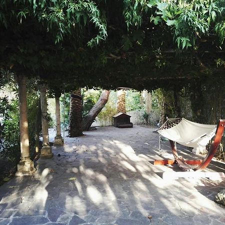 Cala Cavone Guest House Ponza Bagian luar foto