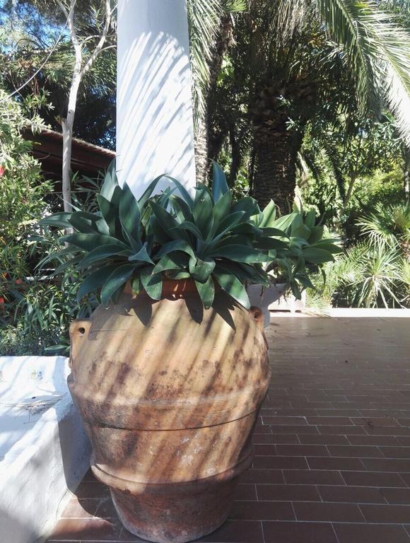 Cala Cavone Guest House Ponza Bagian luar foto